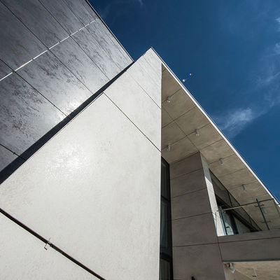 Groen materiaal 6 mm 8 mm Dikte Villa Buiten Hout Granenvezel Cement Siding Board